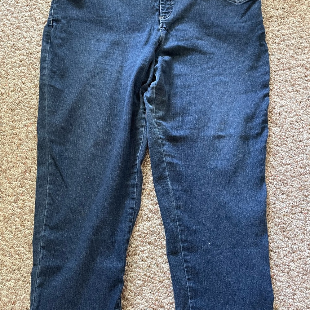 Woman’s Terra & sky elastic waist sz 2x jeans - Picture 5 of 5